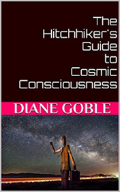 Hitchhiker’s Guide to Cosmic Consciousness